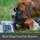 Top Dog Food: Best Boxer Food for Sensitive Stomachs | World’s Most Delicious Foods: Must-Try Dishes from Every Country