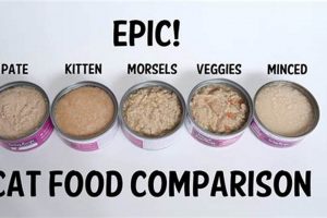 Best Minced Cat Food Options: Recipes & Feeding Guide World’s Most Delicious Foods: Must-Try Dishes from Every Country Best Minced Cat Food Options: Recipes & Feeding Guide | World’s Most Delicious Foods: Must-Try Dishes from Every Country