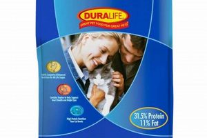 Best Value: 40 lb Cat Food Bags | Savings & Storage World’s Most Delicious Foods: Must-Try Dishes from Every Country Best Value: 40 lb Cat Food Bags | Savings & Storage | World’s Most Delicious Foods: Must-Try Dishes from Every Country
