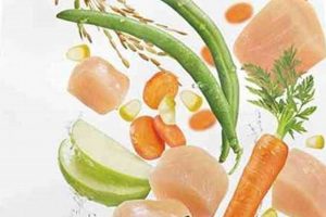 Purina High Fiber Dog Food: Relief for Your Pup's Gut! World’s Most Delicious Foods: Must-Try Dishes from Every Country Purina High Fiber Dog Food: Relief for Your Pup's Gut! | World’s Most Delicious Foods: Must-Try Dishes from Every Country