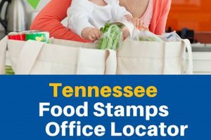 Jackson TN Food Stamp Office: Apply & Benefits Guide World’s Most Delicious Foods: Must-Try Dishes from Every Country Jackson TN Food Stamp Office: Apply & Benefits Guide | World’s Most Delicious Foods: Must-Try Dishes from Every Country