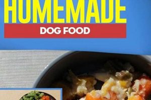Best Hypoallergenic Homemade Dog Food Recipes for Happy Dogs! World’s Most Delicious Foods: Must-Try Dishes from Every Country Best Hypoallergenic Homemade Dog Food Recipes for Happy Dogs! | World’s Most Delicious Foods: Must-Try Dishes from Every Country