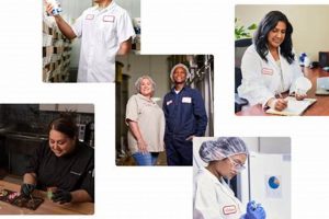 Boost Food Sales Careers: Paths, Salary & Jobs World’s Most Delicious Foods: Must-Try Dishes from Every Country Boost Food Sales Careers: Paths, Salary & Jobs | World’s Most Delicious Foods: Must-Try Dishes from Every Country