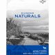 Honest Diamond Naturals Dog Food Reviews: Is it Right for Your Dog? | World’s Most Delicious Foods: Must-Try Dishes from Every Country