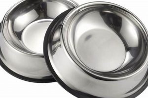 Best Stainless Steel Dog Food Bowls for Happy Pups! World’s Most Delicious Foods: Must-Try Dishes from Every Country Best Stainless Steel Dog Food Bowls for Happy Pups! | World’s Most Delicious Foods: Must-Try Dishes from Every Country