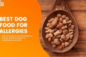The Top: Best Fresh Food for Dogs With Allergies Today! World’s Most Delicious Foods: Must-Try Dishes from Every Country The Top: Best Fresh Food for Dogs With Allergies Today! | World’s Most Delicious Foods: Must-Try Dishes from Every Country