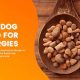The Top: Best Fresh Food for Dogs With Allergies Today! | World’s Most Delicious Foods: Must-Try Dishes from Every Country