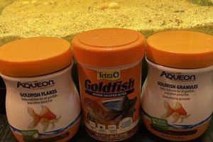Fish Food SOS: What to Feed Goldfish When Out of Fish Food? World’s Most Delicious Foods: Must-Try Dishes from Every Country Fish Food SOS: What to Feed Goldfish When Out of Fish Food? | World’s Most Delicious Foods: Must-Try Dishes from Every Country