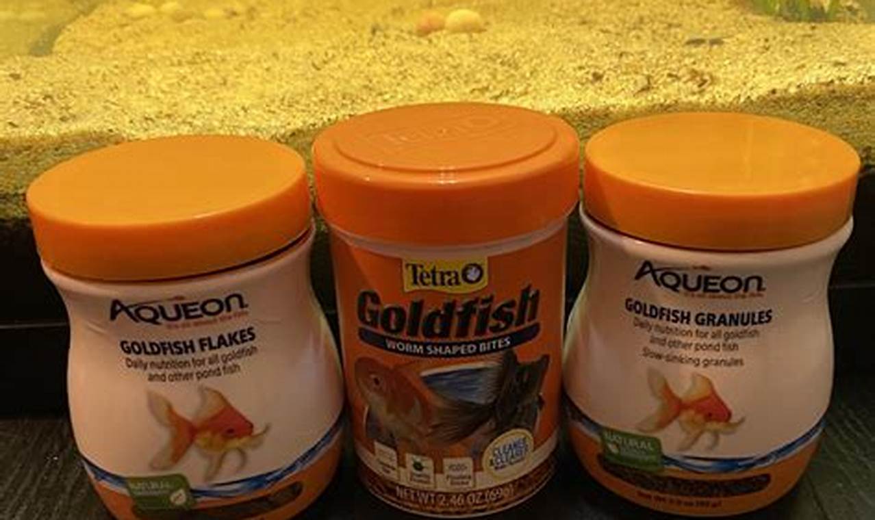 Fish Food SOS: What to Feed Goldfish When Out of Fish Food? World’s Most Delicious Foods: Must-Try Dishes from Every Country Fish Food SOS: What to Feed Goldfish When Out of Fish Food? | World’s Most Delicious Foods: Must-Try Dishes from Every Country