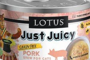 Why Pork Cat Food? Benefits & Best Brands for Cats World’s Most Delicious Foods: Must-Try Dishes from Every Country Why Pork Cat Food? Benefits & Best Brands for Cats | World’s Most Delicious Foods: Must-Try Dishes from Every Country