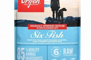 Is Six Fish Dog Food Right? [Benefits & Risks] | World’s Most Delicious Foods: Must-Try Dishes from Every Country