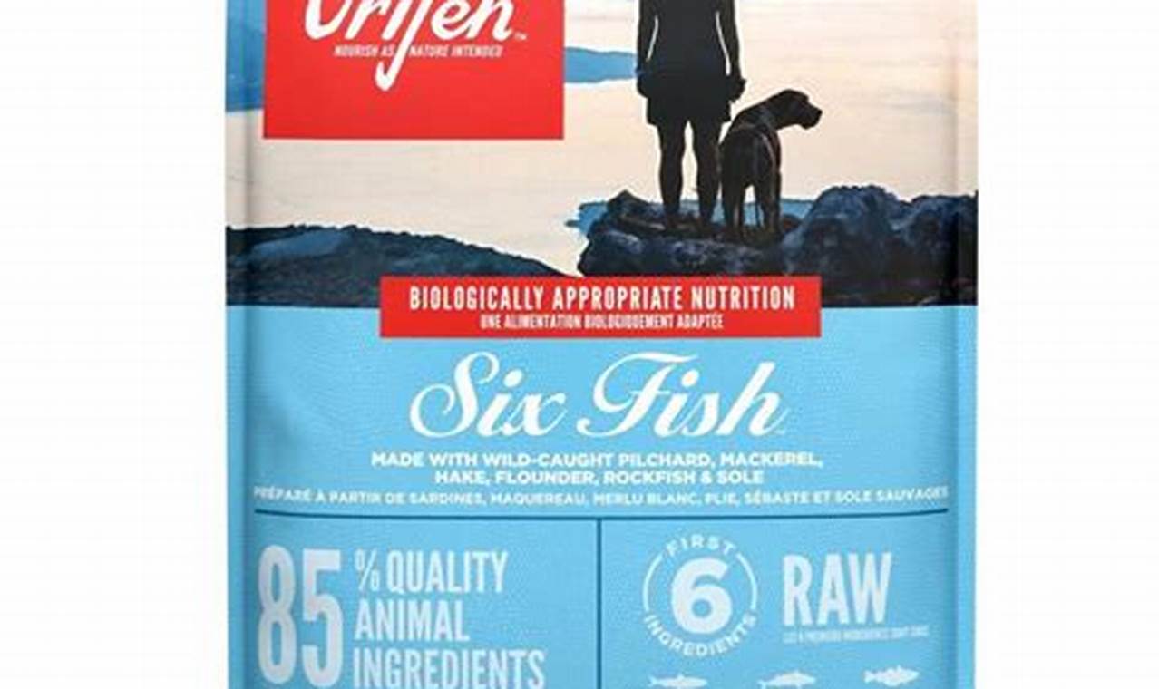 Is Six Fish Dog Food Right? [Benefits & Risks] | World’s Most Delicious Foods: Must-Try Dishes from Every Country