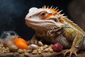 Can Bearded Dragons Last? How Long Without Food? World’s Most Delicious Foods: Must-Try Dishes from Every Country Can Bearded Dragons Last? How Long Without Food? | World’s Most Delicious Foods: Must-Try Dishes from Every Country