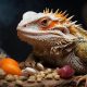 Can Bearded Dragons Last? How Long Without Food? | World’s Most Delicious Foods: Must-Try Dishes from Every Country