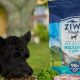 Ziwipeak Dog Food: Is [Brand] Right For Your Dog? | World’s Most Delicious Foods: Must-Try Dishes from Every Country