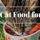 Best Cat Food for Cats with IBS: Soothe Their Sensitive Gut | World’s Most Delicious Foods: Must-Try Dishes from Every Country
