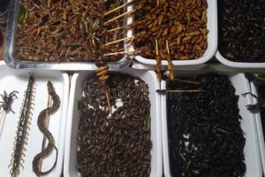 Best Millipede Food for Sale: Premium Diets! World’s Most Delicious Foods: Must-Try Dishes from Every Country Best Millipede Food for Sale: Premium Diets! | World’s Most Delicious Foods: Must-Try Dishes from Every Country