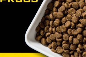 Fueling Performance: Diamond Pro Dog Food for Active Dogs World’s Most Delicious Foods: Must-Try Dishes from Every Country Fueling Performance: Diamond Pro Dog Food for Active Dogs | World’s Most Delicious Foods: Must-Try Dishes from Every Country