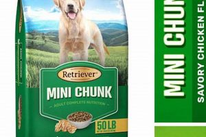Best Mini Chunk Dog Food: Brands & Benefits for Your Dog World’s Most Delicious Foods: Must-Try Dishes from Every Country Best Mini Chunk Dog Food: Brands & Benefits for Your Dog | World’s Most Delicious Foods: Must-Try Dishes from Every Country