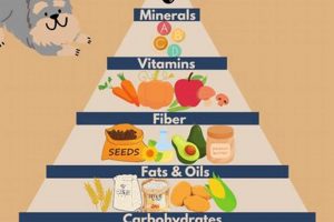 Need Help with Dog Food? Affordable Options & Tips World’s Most Delicious Foods: Must-Try Dishes from Every Country Need Help with Dog Food? Affordable Options & Tips | World’s Most Delicious Foods: Must-Try Dishes from Every Country