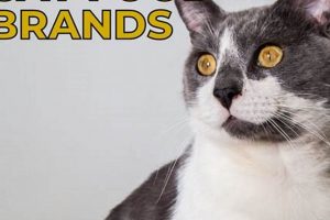 Avoid the Worst Cat Food: What to Look For + Brands World’s Most Delicious Foods: Must-Try Dishes from Every Country Avoid the Worst Cat Food: What to Look For + Brands | World’s Most Delicious Foods: Must-Try Dishes from Every Country