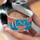The Best Wet Food for Cats with Diabetes: Top Brands | World’s Most Delicious Foods: Must-Try Dishes from Every Country