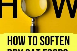 Easy How to Soften Dry Cat Food: A Guide for Cats! World’s Most Delicious Foods: Must-Try Dishes from Every Country Easy How to Soften Dry Cat Food: A Guide for Cats! | World’s Most Delicious Foods: Must-Try Dishes from Every Country