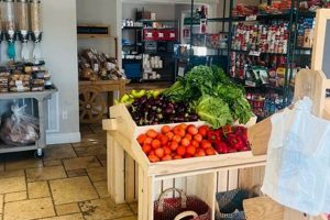 Ending Hunger: St Matthew's House Food Pantry - Support Now! | World’s Most Delicious Foods: Must-Try Dishes from Every Country