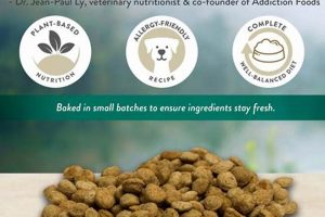 Best Vegetarian Dry Dog Food for a Happy Dog World’s Most Delicious Foods: Must-Try Dishes from Every Country Best Vegetarian Dry Dog Food for a Happy Dog | World’s Most Delicious Foods: Must-Try Dishes from Every Country
