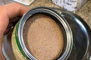 Canned Dog Food: Does It Go Bad? & How to Tell! World’s Most Delicious Foods: Must-Try Dishes from Every Country Canned Dog Food: Does It Go Bad? & How to Tell! | World’s Most Delicious Foods: Must-Try Dishes from Every Country