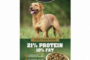 Best Country Health Dog Food: Healthy & Natural Diet World’s Most Delicious Foods: Must-Try Dishes from Every Country Best Country Health Dog Food: Healthy & Natural Diet | World’s Most Delicious Foods: Must-Try Dishes from Every Country