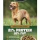 Best Country Health Dog Food: Healthy &amp; Natural Diet | World’s Most Delicious Foods: Must-Try Dishes from Every Country