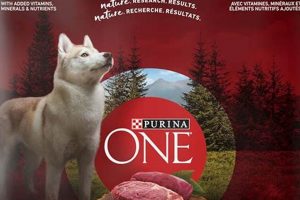 Best Bison Dog Food: Healthier Meat, Happier Dogs! World’s Most Delicious Foods: Must-Try Dishes from Every Country Best Bison Dog Food: Healthier Meat, Happier Dogs! | World’s Most Delicious Foods: Must-Try Dishes from Every Country