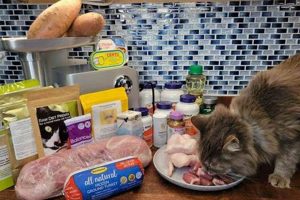 Is Earthborn Cat Food the Best Choice? [Review] | World’s Most Delicious Foods: Must-Try Dishes from Every Country