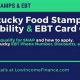 Find: Food Stamp Office in Corbin KY + Apply Now! | World’s Most Delicious Foods: Must-Try Dishes from Every Country