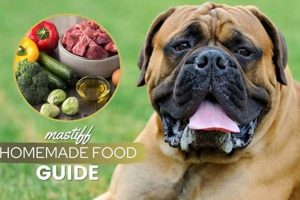 Guide to the Best Food for a Mastiff Puppy: Nutrition Tips | World’s Most Delicious Foods: Must-Try Dishes from Every Country