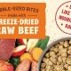Is Raw Dog Food with Kibble Right for Your Dog? | World’s Most Delicious Foods: Must-Try Dishes from Every Country