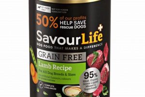 Best Lamb Wet Dog Food: A Healthy, Delicious Choice | World’s Most Delicious Foods: Must-Try Dishes from Every Country