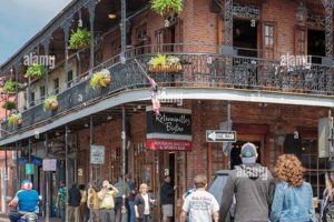Bourbon Street Bites: Find the Best Food in New Orleans | World’s Most Delicious Foods: Must-Try Dishes from Every Country