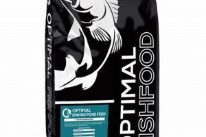 Best Optimal Fish Food: Healthy Diets & Growth Tips World’s Most Delicious Foods: Must-Try Dishes from Every Country Best Optimal Fish Food: Healthy Diets & Growth Tips | World’s Most Delicious Foods: Must-Try Dishes from Every Country