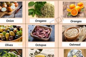 Best "What Food Starts With O?" - Ideas & More! World’s Most Delicious Foods: Must-Try Dishes from Every Country Best "What Food Starts With O?" - Ideas & More! | World’s Most Delicious Foods: Must-Try Dishes from Every Country