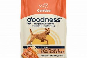 Why Orange Dog Food Bags? Best Brands &amp; Storage | World’s Most Delicious Foods: Must-Try Dishes from Every Country