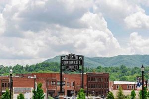 Nearby: Johnson City TN Food Banks - Find Help | World’s Most Delicious Foods: Must-Try Dishes from Every Country