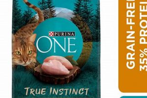 Best Natural Dry Cat Food for a Happy Cat: Guide | World’s Most Delicious Foods: Must-Try Dishes from Every Country