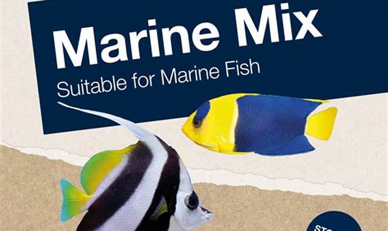 Best Frozen Marine Fish Food: Quality Nutrition Guide World’s Most Delicious Foods: Must-Try Dishes from Every Country Best Frozen Marine Fish Food: Quality Nutrition Guide | World’s Most Delicious Foods: Must-Try Dishes from Every Country