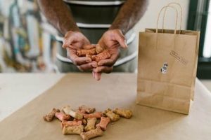 Is Iams Dog Food Safe? Concerns & Facts | World’s Most Delicious Foods: Must-Try Dishes from Every Country