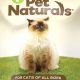 Top Foods: Best Food for FeLV Cats (Guide) | World’s Most Delicious Foods: Must-Try Dishes from Every Country