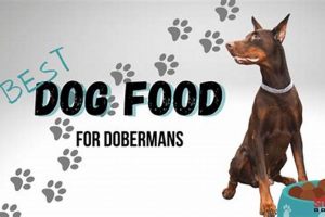 Guide: Best Food for Doberman Puppy Growth [Top Picks] | World’s Most Delicious Foods: Must-Try Dishes from Every Country