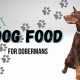 Guide: Best Food for Doberman Puppy Growth [Top Picks] | World’s Most Delicious Foods: Must-Try Dishes from Every Country