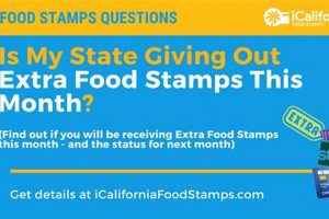 Tennessee Food Stamps Update: Extra Benefits in [Month] 2024? | World’s Most Delicious Foods: Must-Try Dishes from Every Country